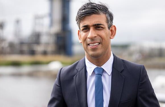 DAILY MAIL COMMENT: Now put the brake on petrol car ban, PM