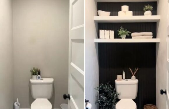DIY fan reveals amazing toilet makeover that took barely anytime to complete – including £23 panelling | The Sun