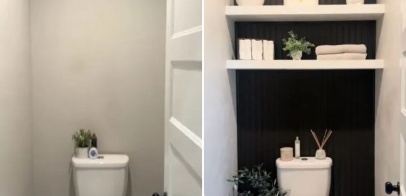 DIY fan reveals amazing toilet makeover that took barely anytime to complete – including £23 panelling | The Sun
