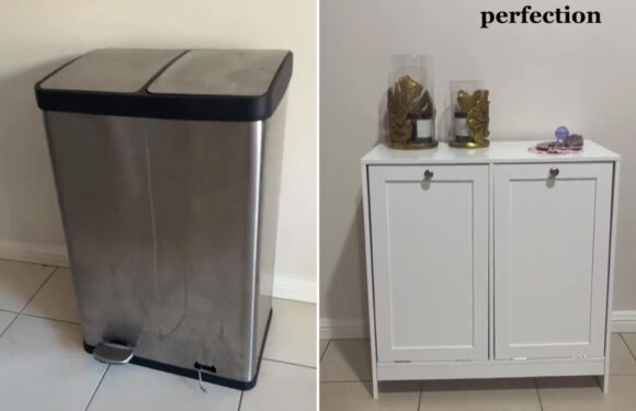 DIY fan reveals genius way she hid her 'ugly' bin in her kitchen – and there are no more nasty bin smells | The Sun