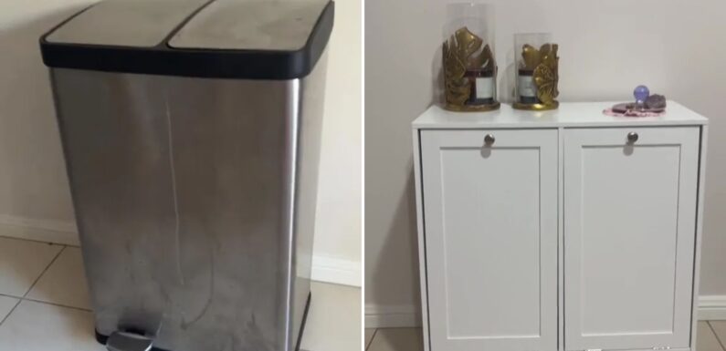 DIY fan reveals genius way she hid her 'ugly' bin in her kitchen – and there are no more nasty bin smells | The Sun