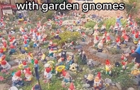 Dark website offers to fill someone’s house with poo-filled garden gnomes