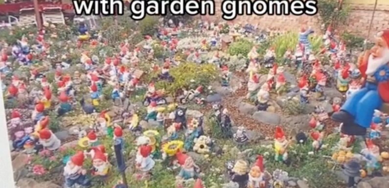 Dark website offers to fill someone’s house with poo-filled garden gnomes