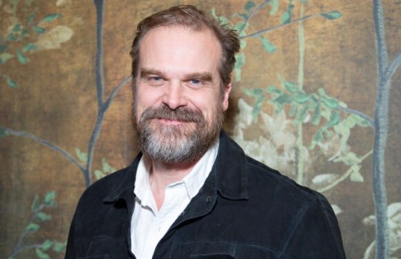 David Harbour Doesn’t Want Fans Yelling ‘Hopper’ at Him for the ‘Rest of My Life’: ‘I Want to Make Original Movies That Go to the Movie Theaters’