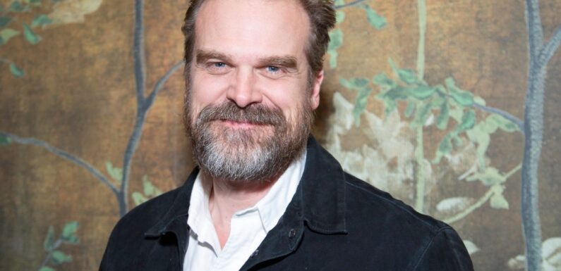 David Harbour Doesn’t Want Fans Yelling ‘Hopper’ at Him for the ‘Rest of My Life’: ‘I Want to Make Original Movies That Go to the Movie Theaters’