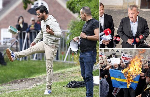 Denmark tightens border controls amid heightened terror warning