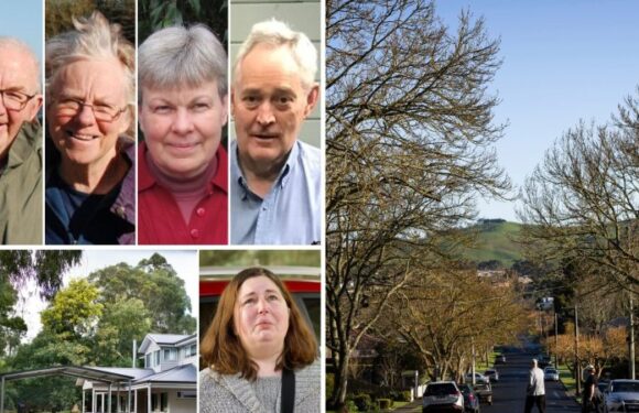 Deputy police chief slams unhelpful circulation of mushroom cook’s statement