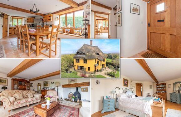 Devon house made out of mud is for sale for £795,000