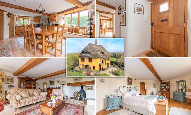 Devon house made out of mud is for sale for £795,000