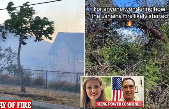 Did downed power lines and dry leaves cause Hawaii wildfires?