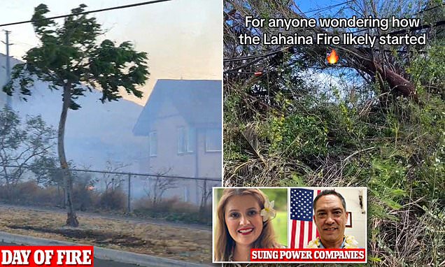 Did downed power lines and dry leaves cause Hawaii wildfires?