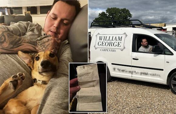 Dog owner gets fined £200 while out looking for his missing rescue