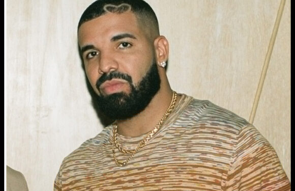 Drake Catches Poetry Book Thrown By Concertgoer