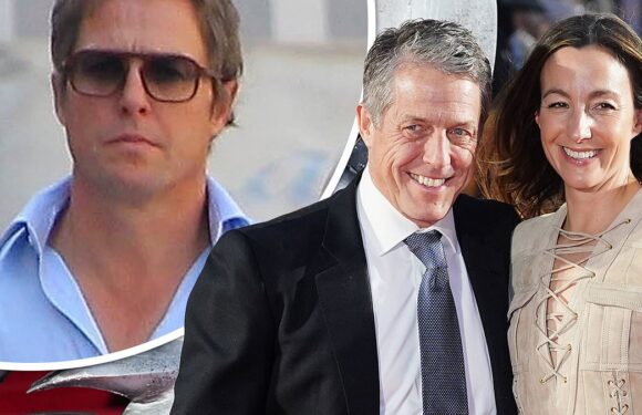 EMILY PRESCOTT: Hugh Grant's wife writes a book… about loving a star
