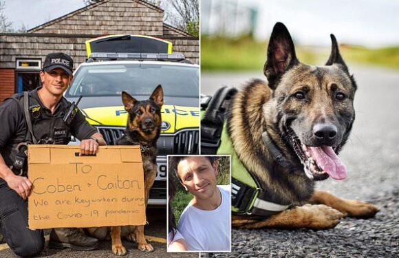 EXCLUSIVE: Previous handler of police dog Jax jailed over sex attack