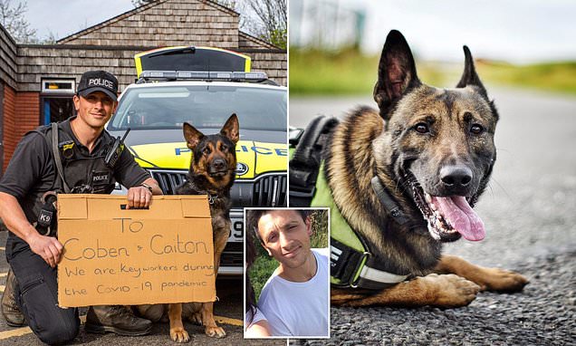 EXCLUSIVE: Previous handler of police dog Jax jailed over sex attack