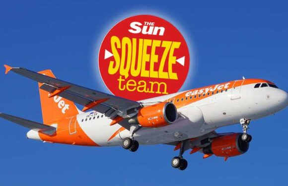 EasyJet refused to refund £255 baggage fee after booking glitch – how the Sun won money back and you can to | The Sun