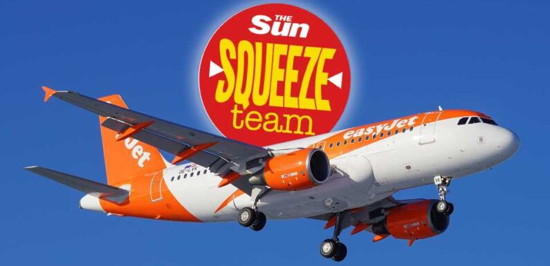 EasyJet refused to refund £255 baggage fee after booking glitch – how the Sun won money back and you can to | The Sun