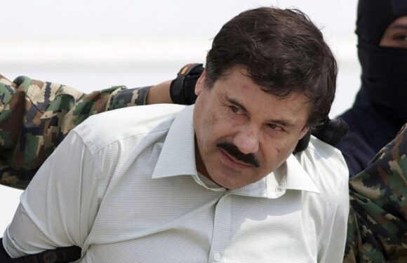 El Chapo makes freedom bid as case against him ‘could take 360-degree turn’