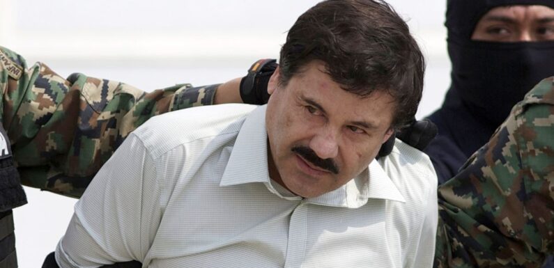 El Chapo makes freedom bid as case against him ‘could take 360-degree turn’