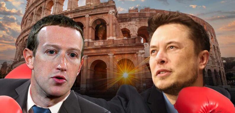 Elon Musk Claims Mark Zuckerberg Refused Fight At Colosseum