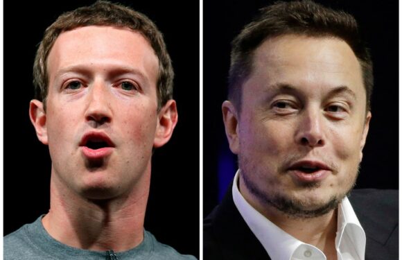 Elon Musk says his cage fight with Mark Zuckerberg will be streamed on X