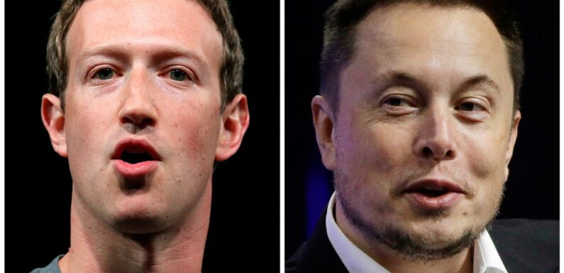 Elon Musk says his cage fight with Mark Zuckerberg will be streamed on X