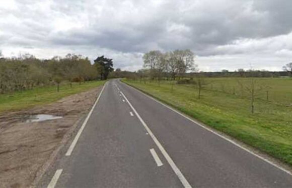 Euston crash: Man dies as woman in her 30s left fighting for life and two kids seriously hurt after Audis collide | The Sun