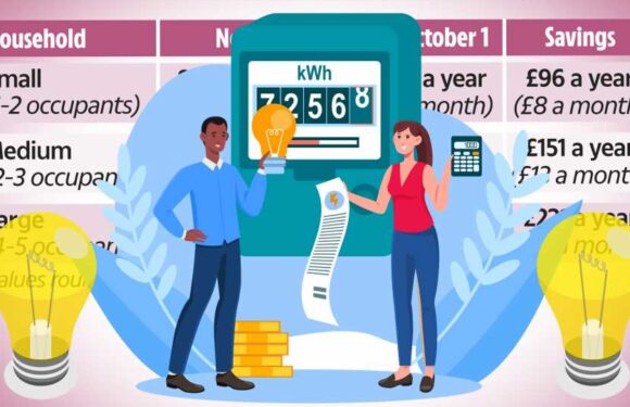Exact amount your energy direct debit will drop by from October – and some will save more than others | The Sun