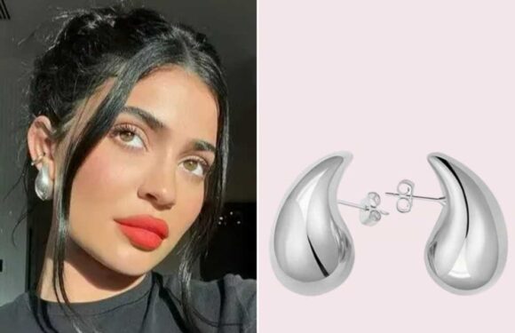 Fashion fans go wild for new Shein dupes, including Bottega Veneta copies for £518 less than the originals | The Sun