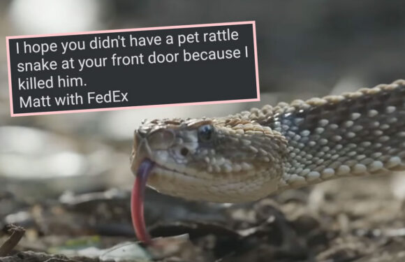 FedEx Driver Kills Rattlesnake RIGHT After Homeowner's Daughter Walks By In Nailbiting Ring Footage! WATCH!