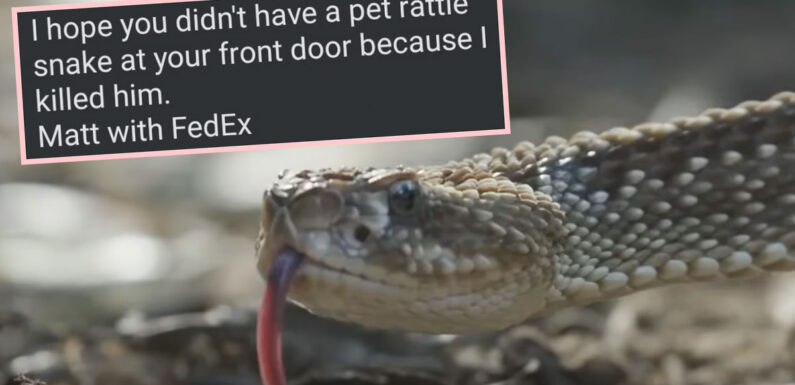 FedEx Driver Kills Rattlesnake RIGHT After Homeowner's Daughter Walks By In Nailbiting Ring Footage! WATCH!