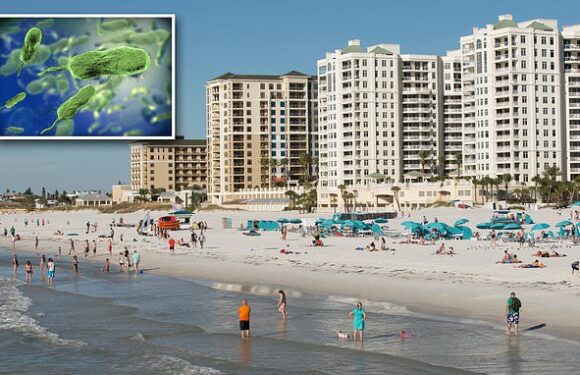 Five people in Tampa Bay killed by flesh-eating bacteria