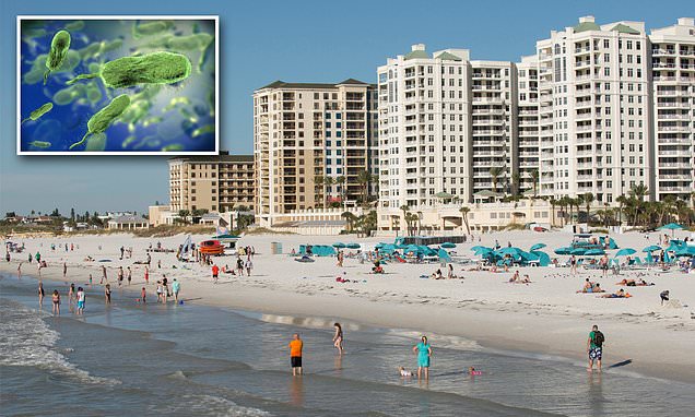 Five people in Tampa Bay killed by flesh-eating bacteria