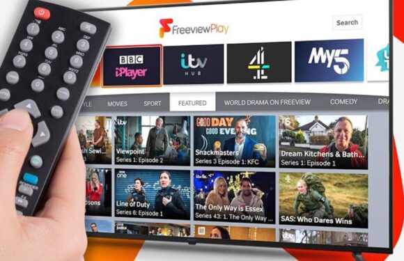 Freeview users must check their TVs today or miss out on vital upgrade