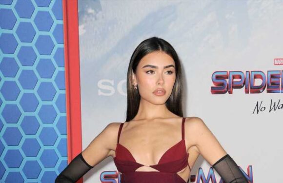 From Ashley Tisdale To Madison Beer: Inside The Luxurious $6 Million Hollywood Hills Home