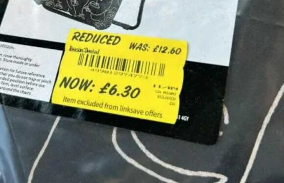 Gardening fans are racing to Asda to bag an essential ideal for the sunny weather that's going for £6 instead of £35 | The Sun