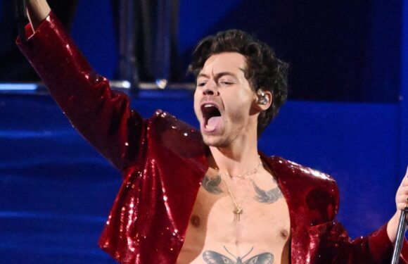 Generous Harry Styles donates huge sum to charity as two-year tour makes £460 million