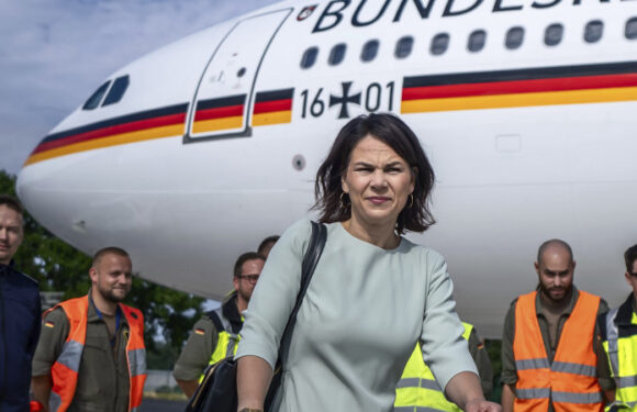 German foreign minister’s ageing plane halted by fault in UAE en route to Australia