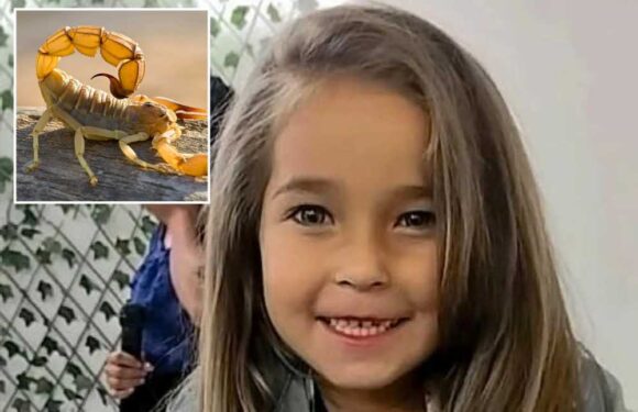 Girl, 5, fatally stung by scorpion forced to wait an HOUR for treatment… before docs admitted they’d run out of antidote | The Sun