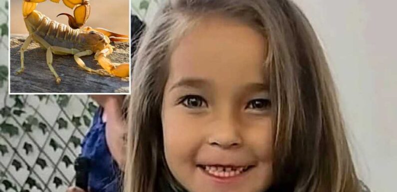 Girl, 5, fatally stung by scorpion forced to wait an HOUR for treatment… before docs admitted they’d run out of antidote | The Sun