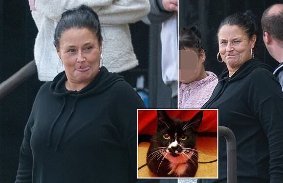 Grandmother who dumped kitten in neighbour's wheelie bin walks free