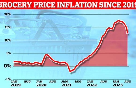 Grocery price inflation drops for fifth month in a row to 12.7%