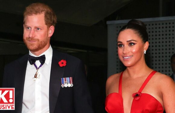 ‘Harry is determined not to traumatise his kids – he’ll make Meghan marriage work’