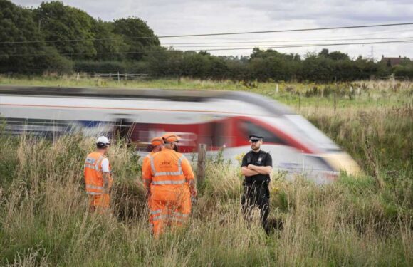 Hero cop, 46, dies after being hit by train while trying to save 'distressed' man on track as tributes pour in | The Sun
