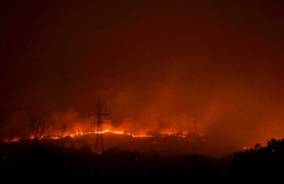 Holiday warning after fresh Greek wildfire kills at least one while beach evacuated and water bombing planes scrambled | The Sun