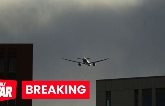 Holidaymakers face travel chaos as all flights in and out of UK delayed