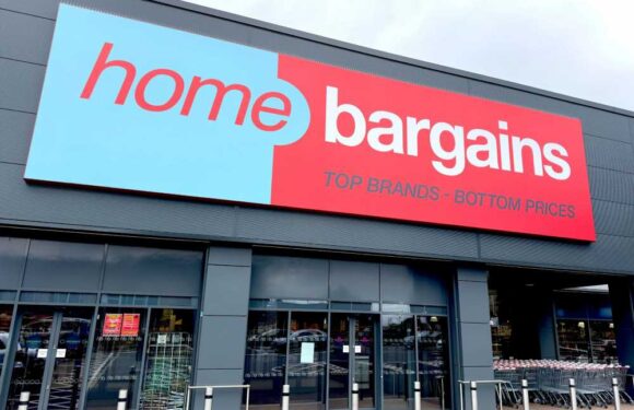 Home Bargains fans rave about £3.49 laundry sheets – they're cheaper than detergent & great for those on a tight budget | The Sun