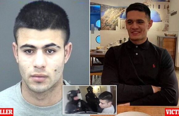 Home Office knew migrant was terror threat year before he killed man