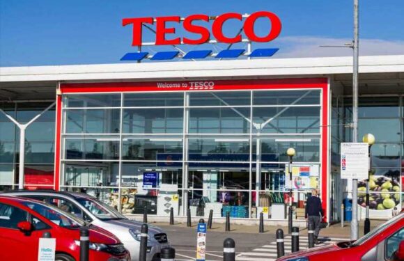 Homeware fans race to Tesco to nab a bedding essential that’s been slashed from £24 to just £6 | The Sun